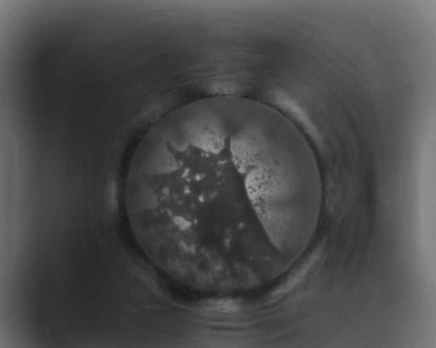 X0000089670161200706281346