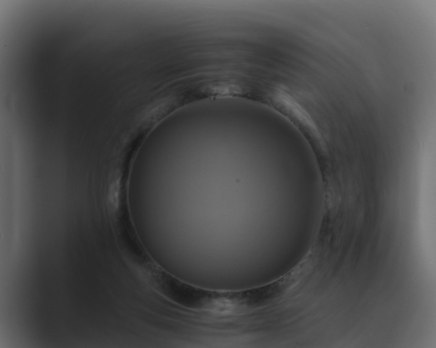 X0000089670163200706281346