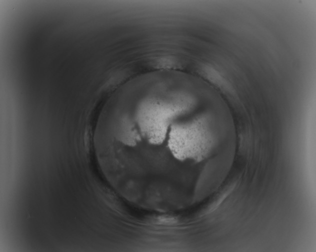 X0000089670165200706281346