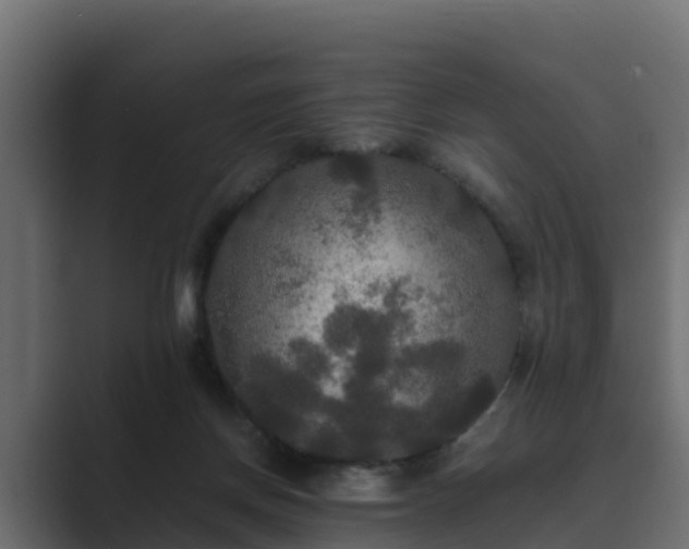 X0000089670166200706281346