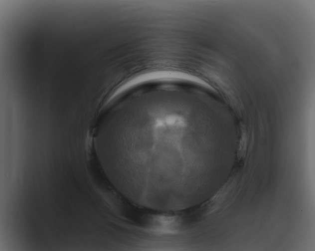X0000089670168200706281346