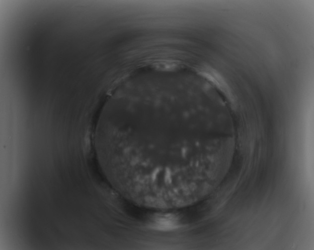 X0000089670169200706281346