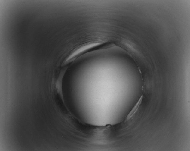 X0000089670172200706281346