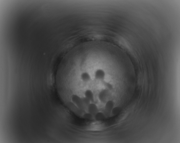 X0000089670173200706281346