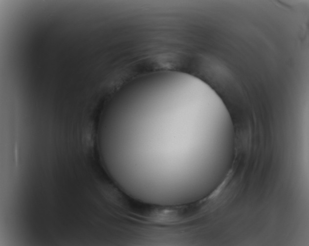 X0000089670174200706281346