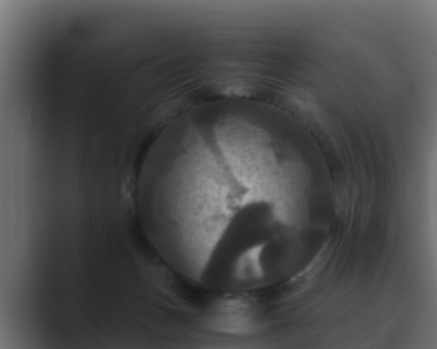 X0000089670175200706281346