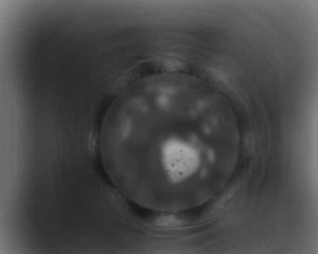 X0000089670177200706281346