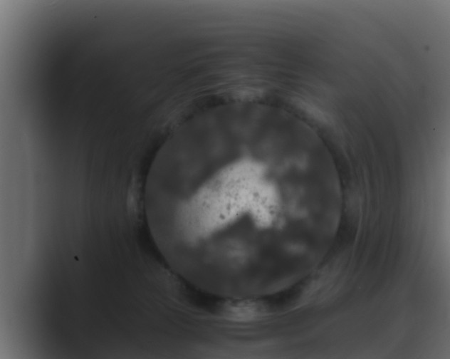 X0000089670181200706281346