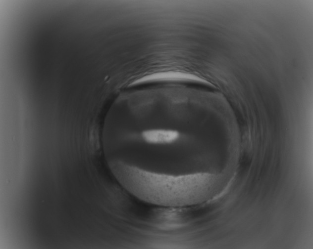 X0000089670182200706281346