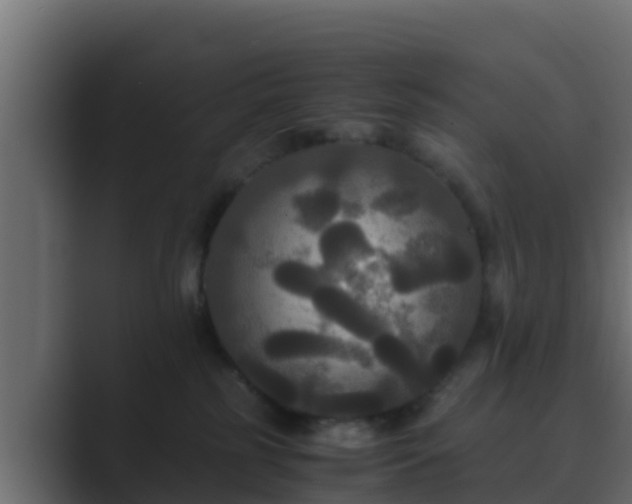 X0000089670185200706281346