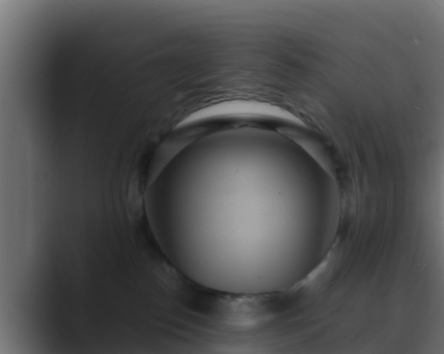 X0000089670186200706281346