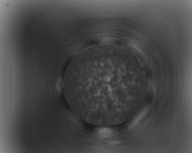 X0000089670189200706281346