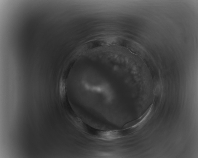 X0000089670191200706281346