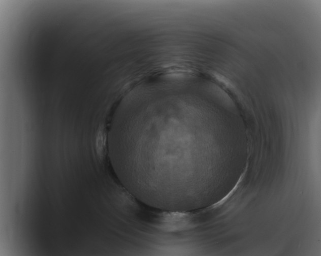 X0000089670192200706281346