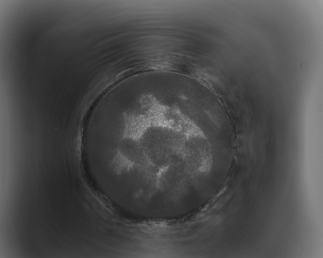 X0000089670194200706281345