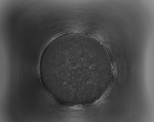 X0000089670196200706281345