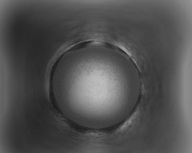 X0000089670199200706281345