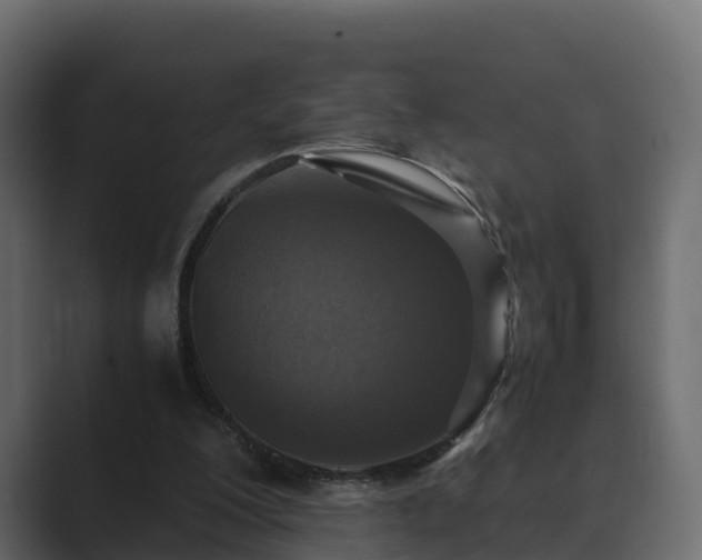 X0000089670200200706281345