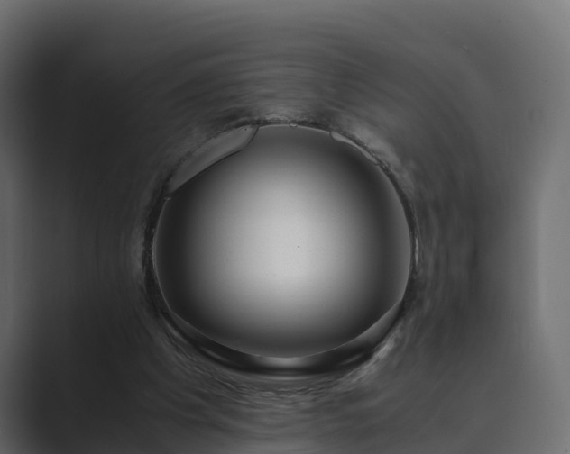 X0000089670201200706281345