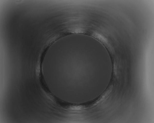 X0000089670202200706281345