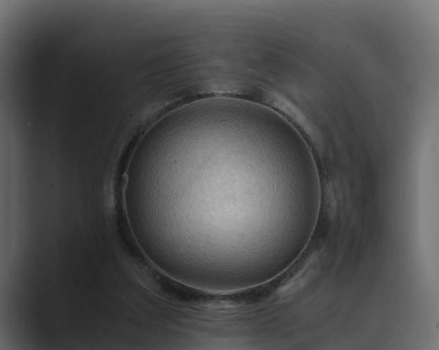X0000089670203200706281345