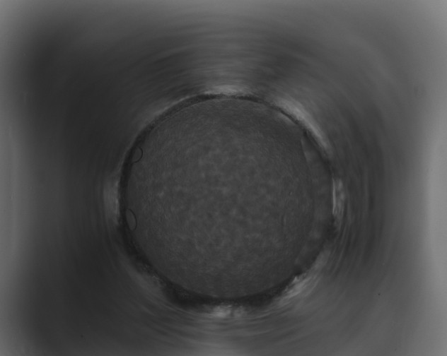 X0000089670204200706281345