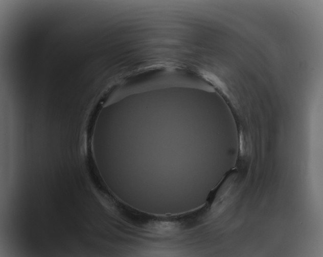 X0000089670205200706281345