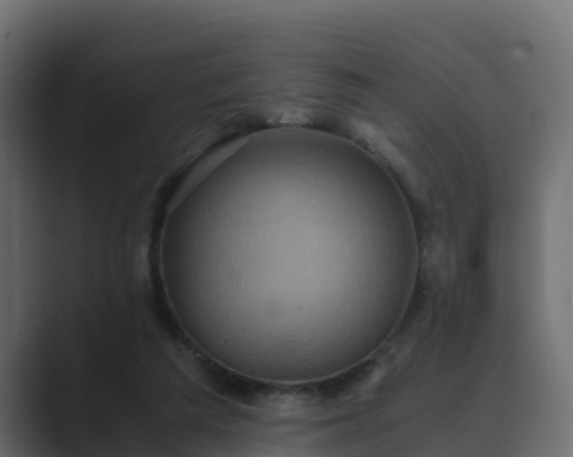 X0000089670209200706281345