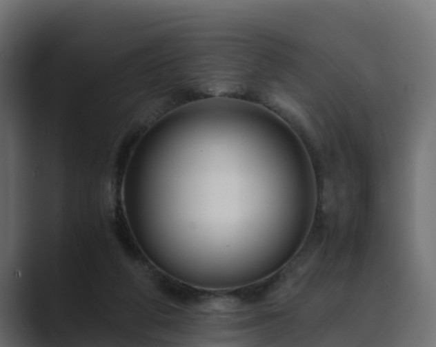X0000089670210200706281345