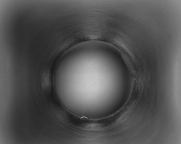 X0000089670212200706281345