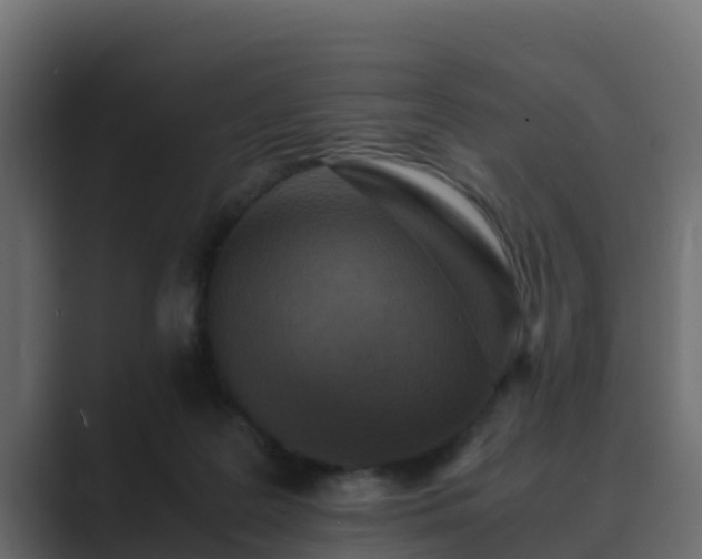 X0000089670219200706281345