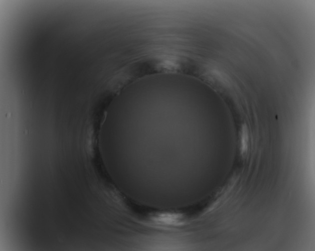 X0000089670223200706281345