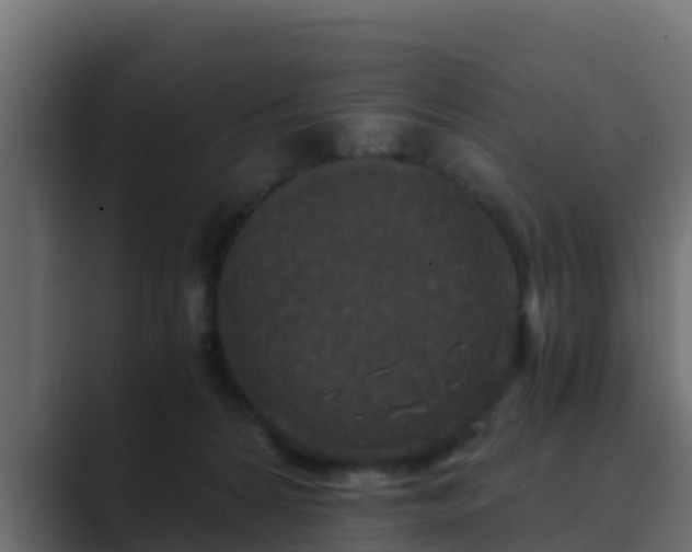 X0000089670224200706281345