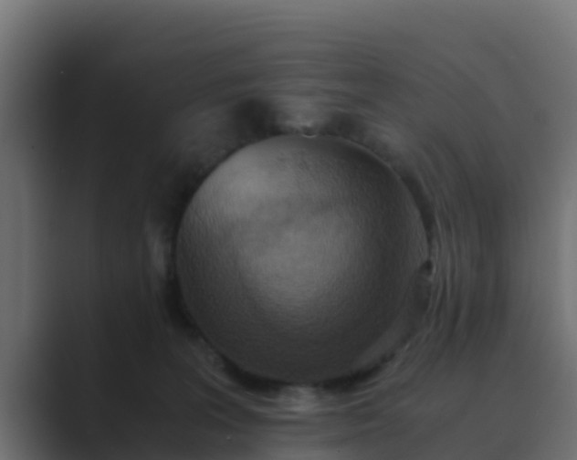 X0000089670227200706281345
