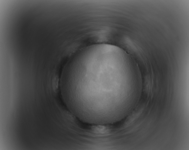 X0000089670230200706281345