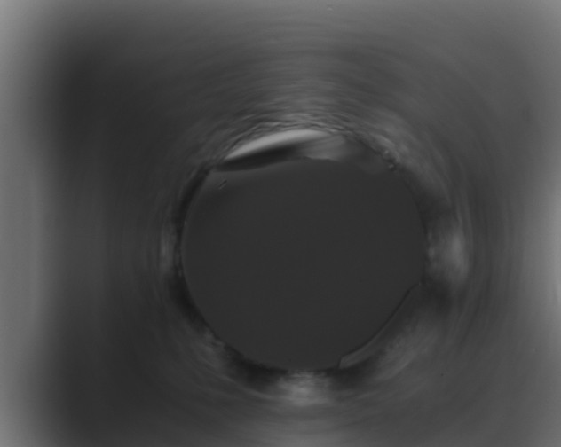 X0000089670231200706281345
