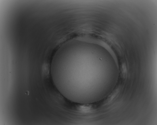 X0000089670232200706281345