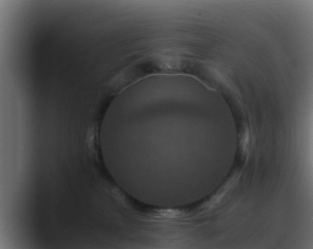 X0000089670233200706281345