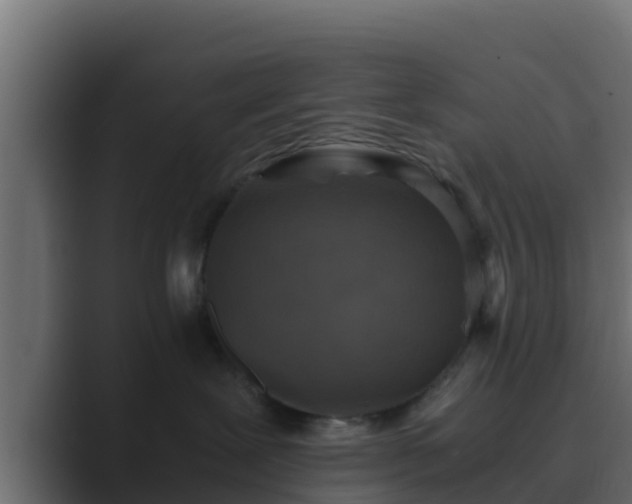 X0000089670239200706281345