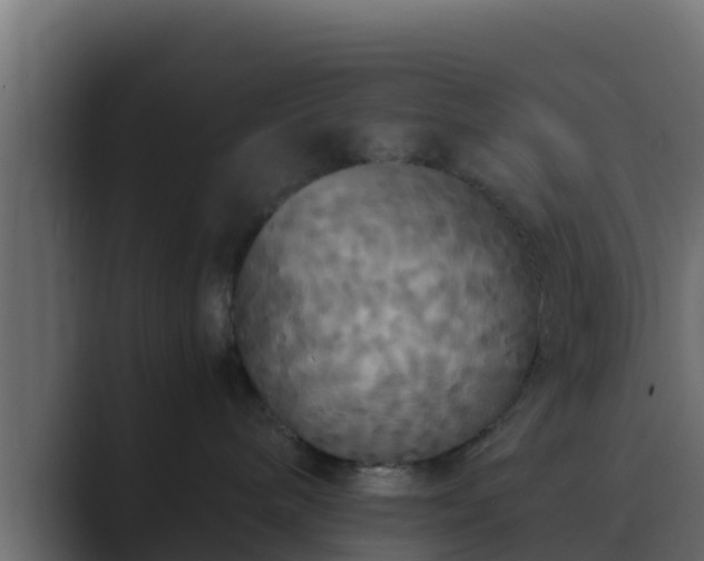 X0000089670240200706281345
