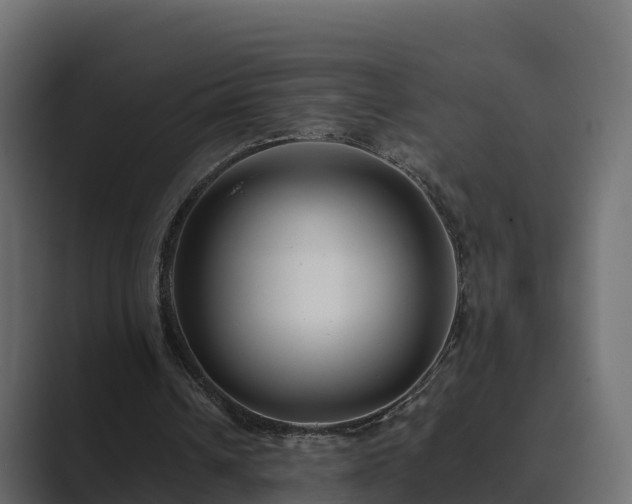X0000089670242200706281344