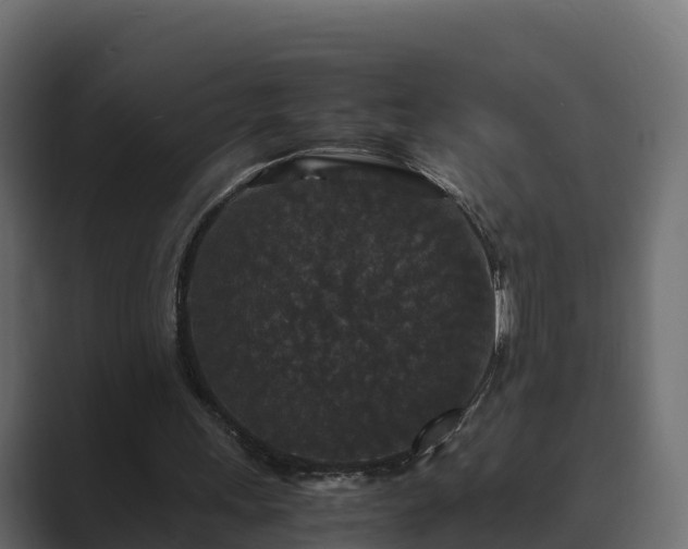 X0000089670243200706281344