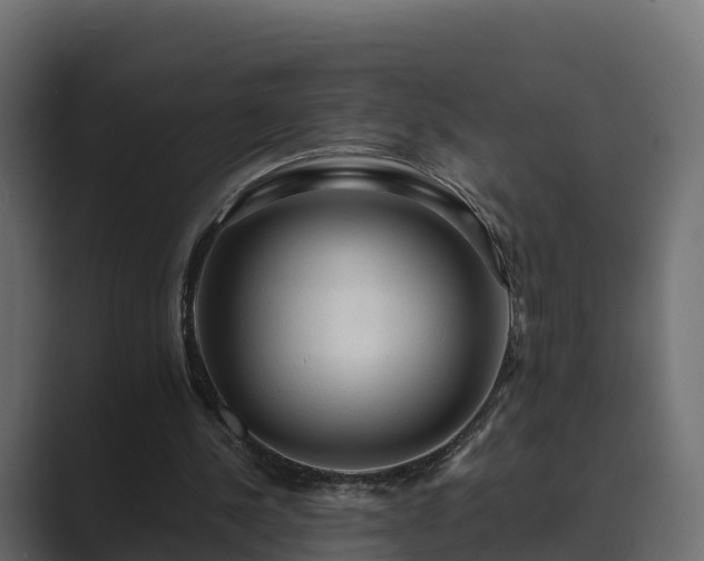 X0000089670244200706281344