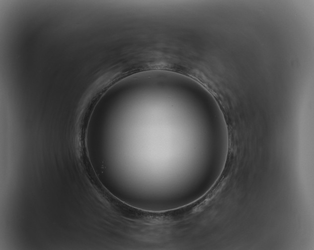 X0000089670245200706281344