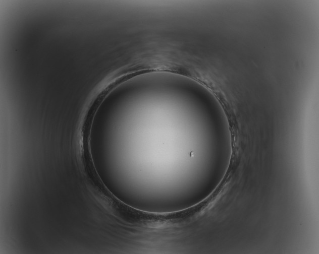 X0000089670246200706281344