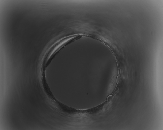 X0000089670247200706281344
