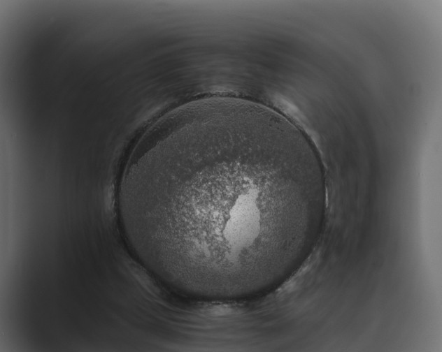 X0000089670249200706281344