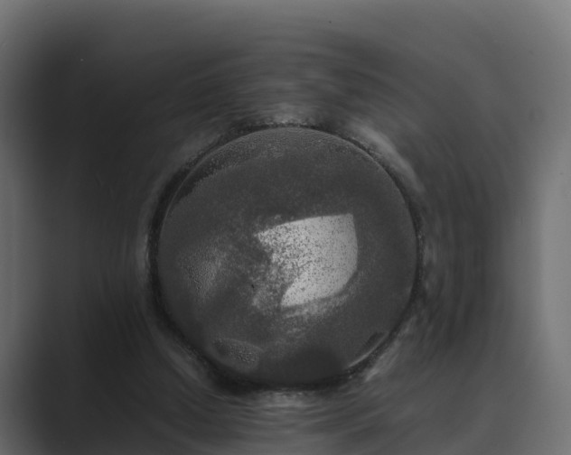 X0000089670250200706281344