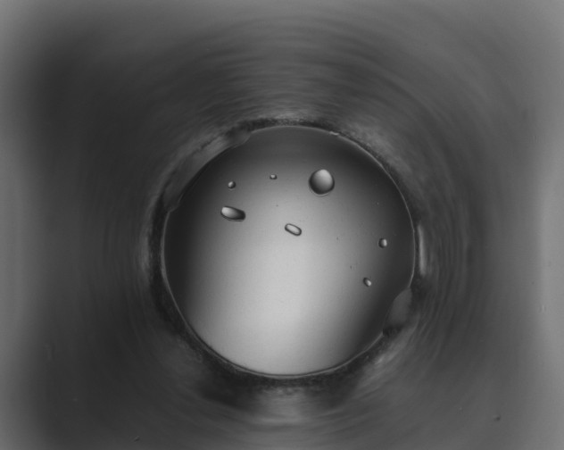 X0000089670252200706281344