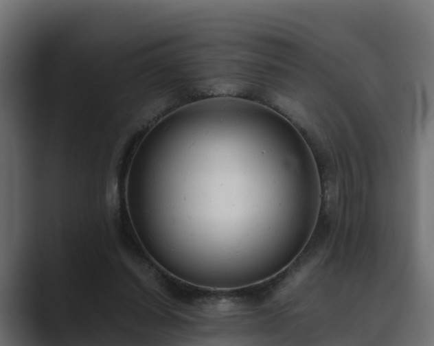 X0000089670254200706281344